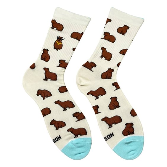 Носки Noskar: Капібара з цепурою: «Капібара» (р. 41-46), (91645)