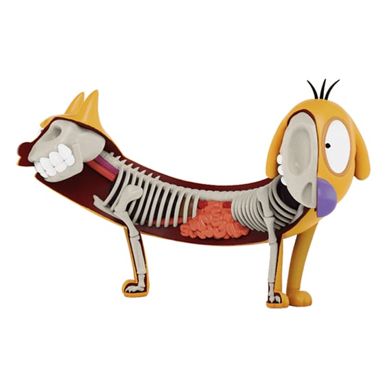 Колекційна фігура Mighty Jaxx: Jason Freeny: XXray Plus: CatDog: CatDog, (93531) 2