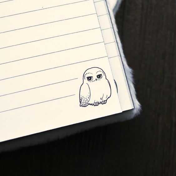 Блокнот Pyramid Premium: Harry Potter (Hedwig), (72671) 2