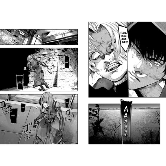 Манга Токийский гуль: re. Книга 5, (179806) 2