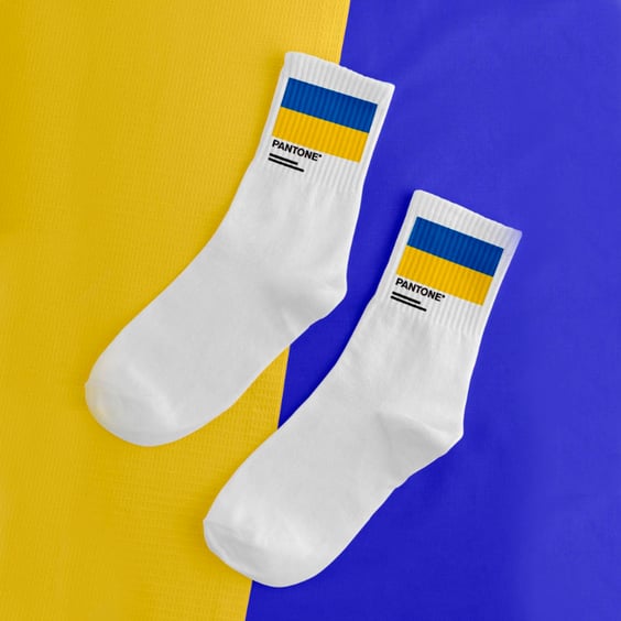 Шкарпетки Chop-Chop: «Pantone 2022» (р. 35-39), (91134)