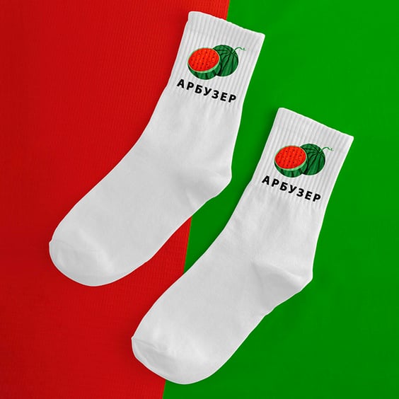 Шкарпетки Chop-Chop: «Арбузер» (р. 40-45), (91223)