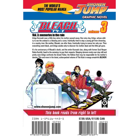 Манґа Bleach. Memories in the rain. Volume 3, (164432) 11