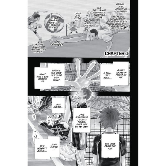 Манга Haikyuu!!. Hinata and Kageyama. Volume 1, (587660) 4