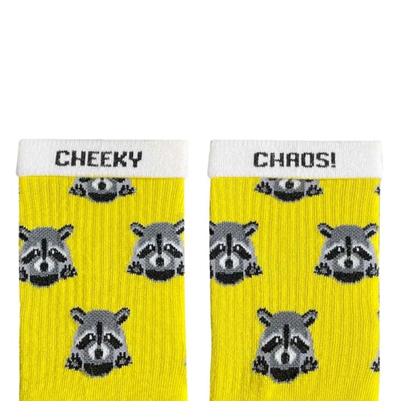 Шкарпетки Noskar: Єноти: «Cheeky Chaos» (р. 41-46), (91404) 2