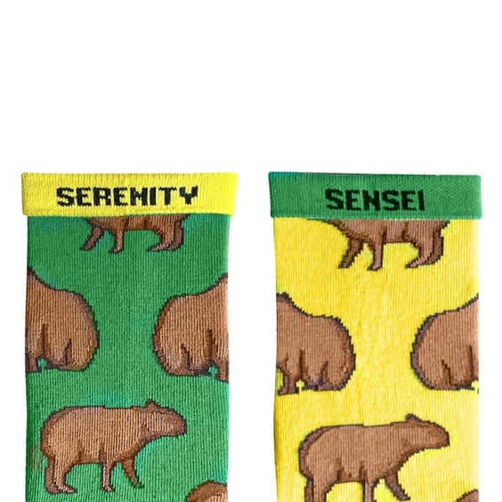 Шкарпетки Noskar: Капібари: «Serenity Sensei» (р. 36-40), (91405) 2