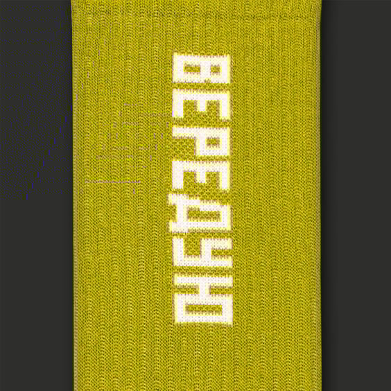Шкарпетки CEH: «Вередую» (р. 40-45), (91473) 2