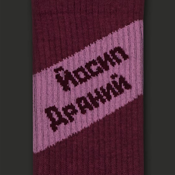 Шкарпетки CEH: «Йосип Драний» (р. 40-45), (91477) 2