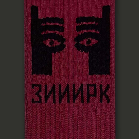Шкарпетки CEH: «Зииирк» (р. 40-45), (91564) 2