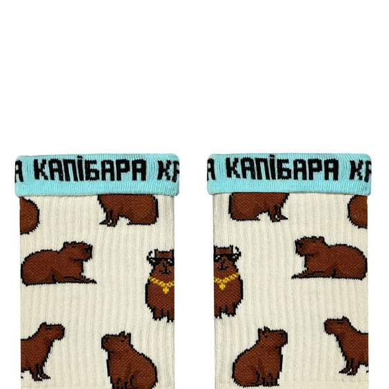 Шкарпетки Noskar: Капібара з цепурою: «Капібара» (р. 41-46), (91645) 2