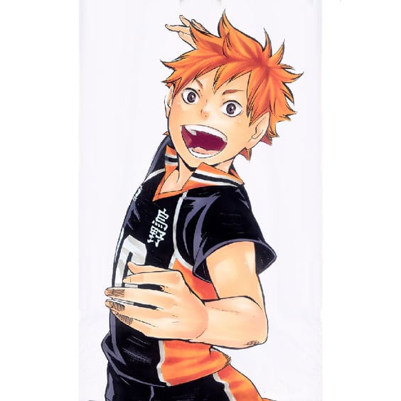 Артбук Haikyuu!!. Complete Illustration Book. End and Beginning (Japanese Edition), (925869) 3