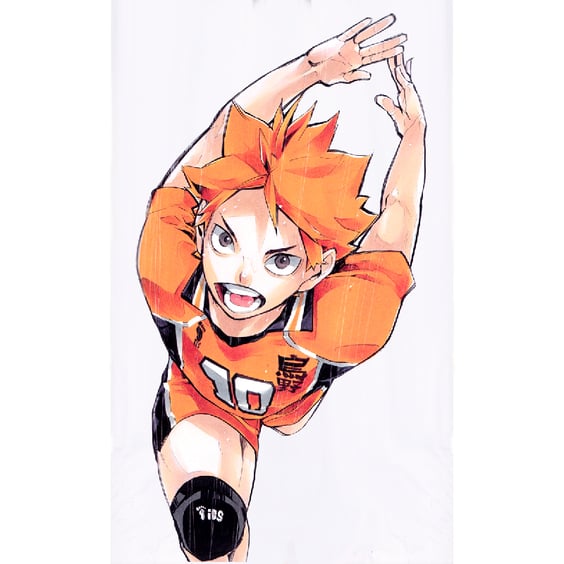 Артбук Haikyuu!!. Complete Illustration Book. End and Beginning (Japanese Edition), (925869) 5