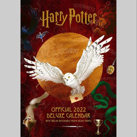 Календарь Danilo Calendar (2022): HARRY POTTER, (122143)