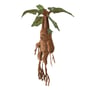 Інтерактивна м'яка іграшка The Noble Collection: Wizarding World: Harry Potter: Mandrake, (106303) 2