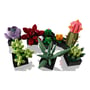 Конструктор LEGO: Icons: Botanical Collection: Succulents, (110309) 5