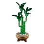 Конструктор LEGO: Icons: Botanical Collection: Lucky Bamboo, (110344) 4