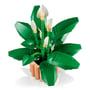 Конструктор LEGO: Botanical Collection: Peace Lily, (111504) 4