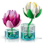 Конструктор LEGO: Botanical Collection: Water Lilies, (115111) 5