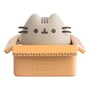 Копилка Erik: Pusheen: Pusheen in Box, (293727) 2