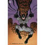Комікс DC. Batman. The Wedding of Batman & Catwoman. Volume 3. #50 (Adams's Cover), (324881)
