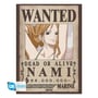 Набор постеров GB Eye: Chibi: One Piece: Wanted Posters: Nami and Robin, (40375) 2