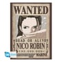 Набор постеров GB Eye: Chibi: One Piece: Wanted Posters: Nami and Robin, (40375) 3