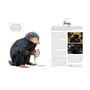 Артбук Harry Potter. The Creatures of the Wizarding World, (410721) 8