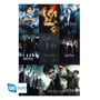 Постер GB Eye: Maxi: Wizarding World: Harry Potter: Movies Collection, (474904)