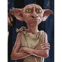 Картина по номерам Ideyka: Wizarding World: Harry Potter: Dobby: The Power of Loyalty, (5237)
