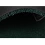 Вхідний килимок SD Toys: Attack on Titan: Emblem: Survey Corps: Logo, (60322) 3