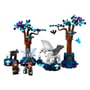 Конструктор LEGO: Wizarding World: Harry Potter: Hogwarts: Forbidden Forest: Magical Creatures, (76432) 2