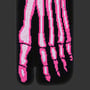 Шкарпетки японські CEH: X-Ray: Skeleton: Toxic Pink (р. 40-45), (91684) 2