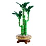 Конструктор LEGO: Icons: Botanical Collection: Lucky Bamboo, (110344) 2