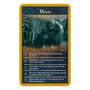 Настольная игра Winning Moves: Top Trumps Quiz: Lord of the Rings, (39659) 2