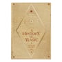 Блокнот MinaLima: Wizarding World: Harry Potter: A History of Magic, (40136)