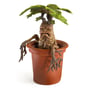 Коллекционная фигурка The Noble Collection: Wizarding World: Harry Potter: Magical Creatures: Mandrake, (5399) 3