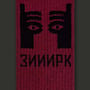 Шкарпетки CEH: «Зииирк» (р. 35-39), (91563) 2